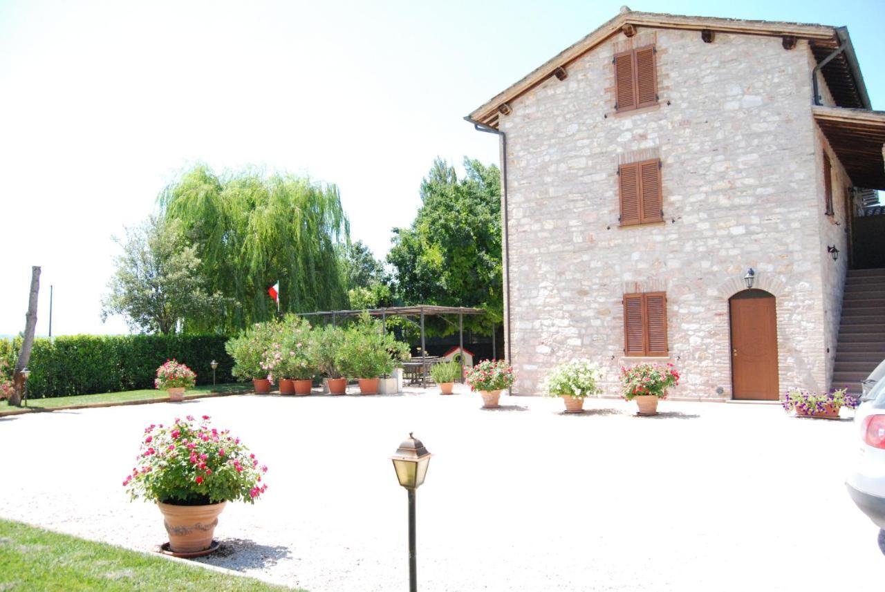 Agriturismo"Il Sagrato Di Assisi" Appartamenti,Camere Ngoại thất bức ảnh