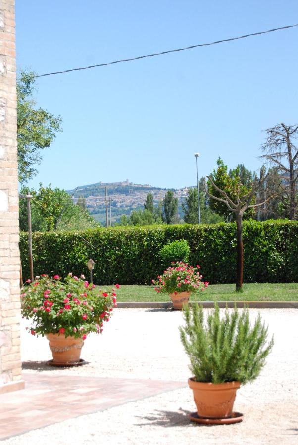 Agriturismo"Il Sagrato Di Assisi" Appartamenti,Camere Ngoại thất bức ảnh