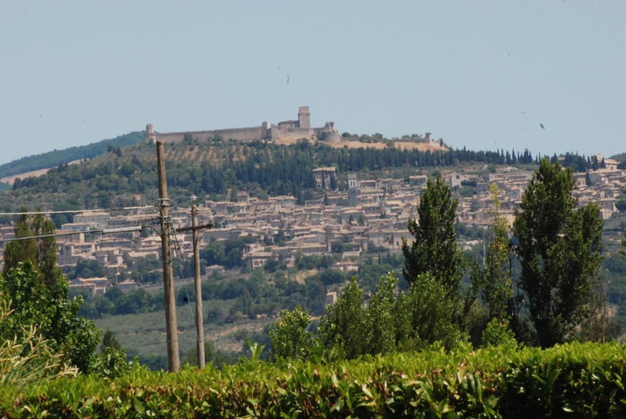 Agriturismo"Il Sagrato Di Assisi" Appartamenti,Camere Ngoại thất bức ảnh