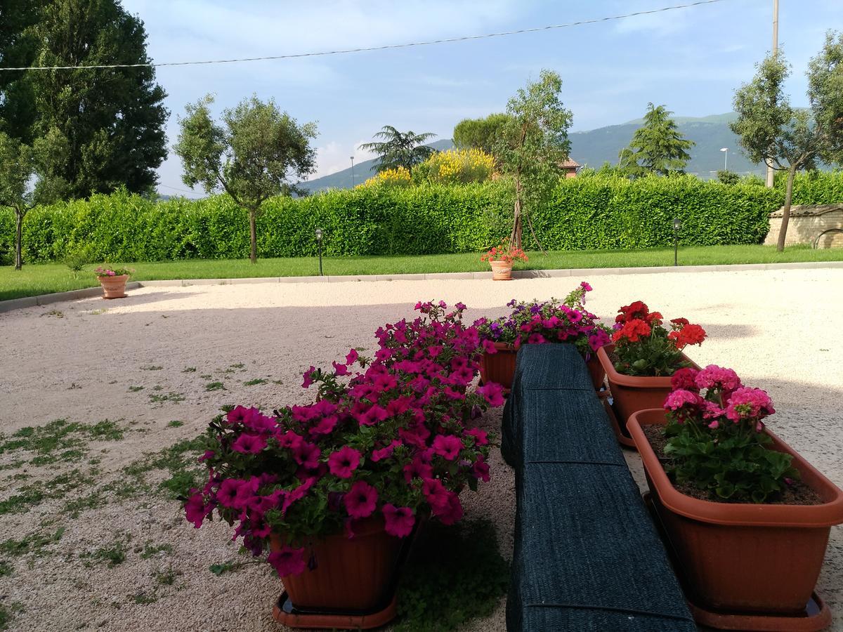 Agriturismo"Il Sagrato Di Assisi" Appartamenti,Camere Ngoại thất bức ảnh