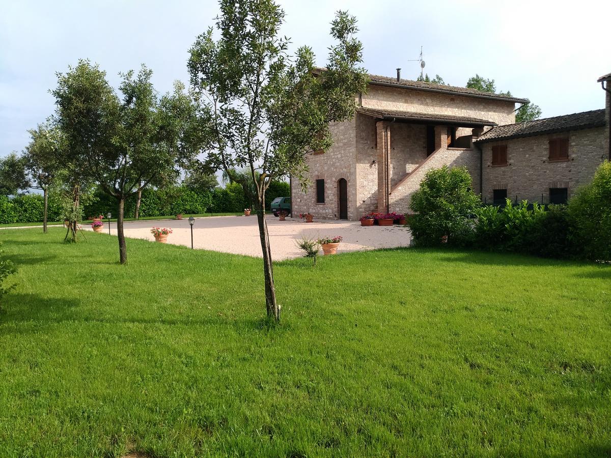 Agriturismo"Il Sagrato Di Assisi" Appartamenti,Camere Ngoại thất bức ảnh