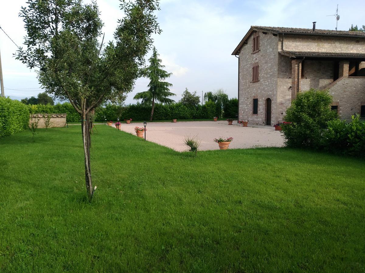 Agriturismo"Il Sagrato Di Assisi" Appartamenti,Camere Ngoại thất bức ảnh