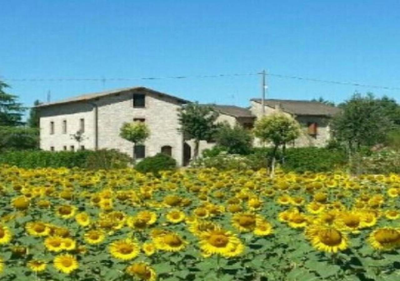 Agriturismo"Il Sagrato Di Assisi" Appartamenti,Camere Ngoại thất bức ảnh